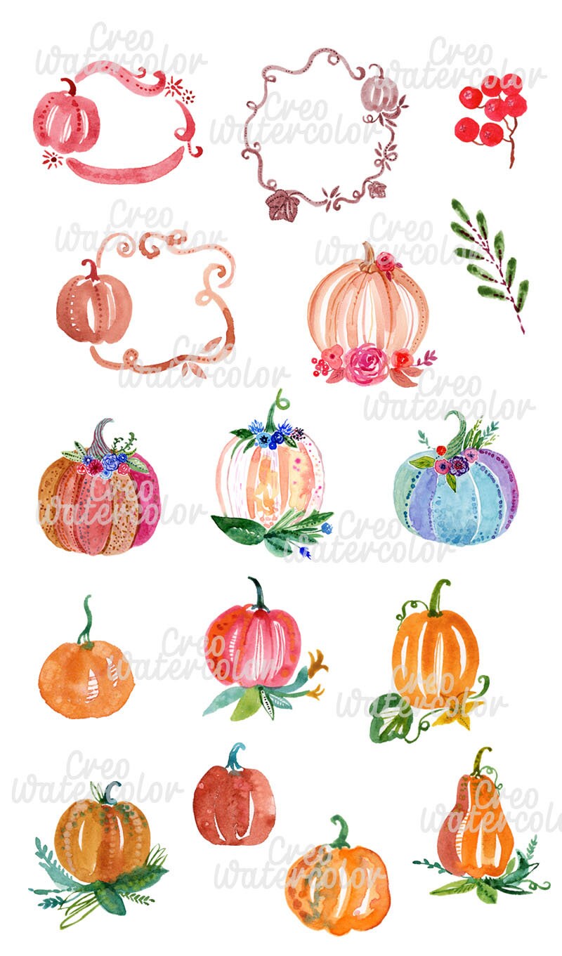 Pumpkin Clipart. Watercolor Hand-painted Cute Pumpkins Floral - Etsy