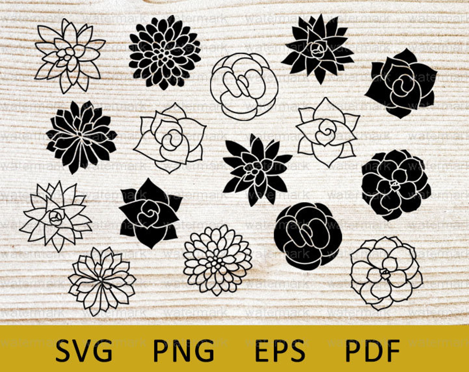 Succulent Svg SVG Succulents Bundle Flowers Svg Plant Cut - Etsy Australia