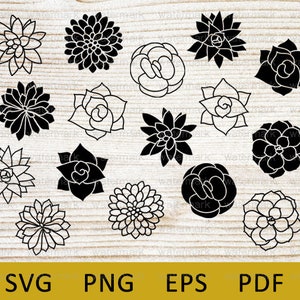 Succulent svg, SVG succulents, bundle, flowers svg, plant, Cut file, Cricut, Silhouette, svg file for cricut, png, pdf, eps, clipart
