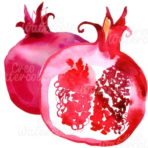 Pomegranate clipart, watercolor pomegranate illustration, fruit, digital art, png, commercial use, hand painted, printable