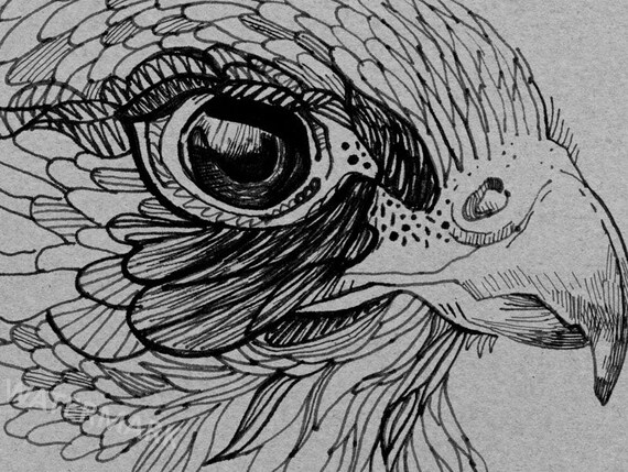 Falcon Clipart Hand Drawn Bird Illustration Line Art Png Commercial Use Printable Sketch Line Art Black Line