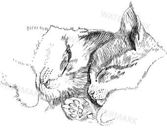 cat clipart, hand drawn cats illustration, kittens, line art, png, commercial use, printable, sketch, doodle, black line