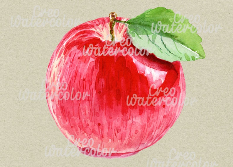 watercolor apple illustration digital printable hand painted leaf hand drawn commercial use instant dawnload png Apple clipart