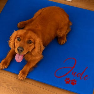 Op de afbeelding: Een bruinharige hond ligt op een helderblauwe hondenmat. De mat heeft de naam "Jude" in rode letters met twee pootafdrukken. De hond kijkt in de camera.