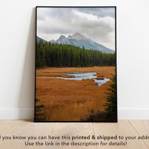 Mountain Landscape Print, Peter Lougheed Park Printable Photo, Banff National Park, River in Nature digital photo, Tall Green Pine Trees Art