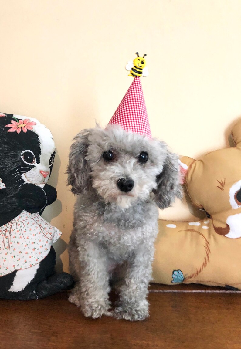 MiniPartyHut Hund Geburtstag Hut HundLiebhaberGeschenk Etsy