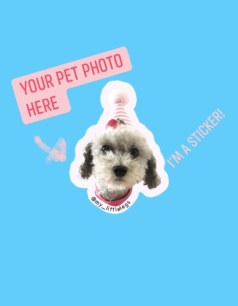 24 Pack Pet Face Sticker Pet Photo Sticker Dog Lover Gift Laptop Removable Vinyl Sticker Custom Dog Stickers My Dog Face Sticker