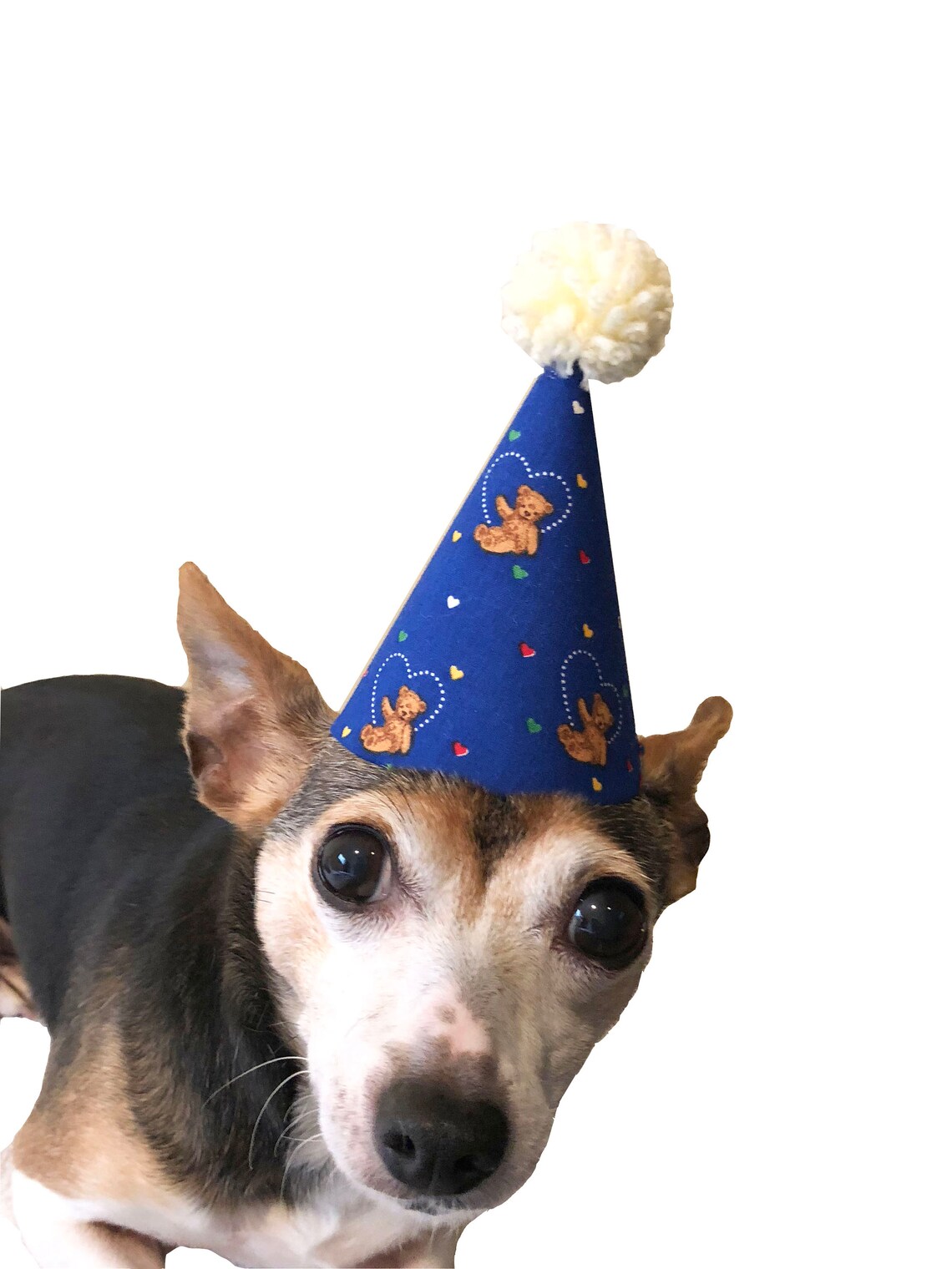 Mini Party Hat Dog Birthday Hat Dog Lover Gift First Etsy