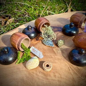 May include: A collection of small wooden acorn-shaped boxes with lids, some open to reveal green moss, green plant material, and a clear crystal. The boxes are arranged on a wooden surface with other small objects, including a silver leaf, a small rock, and a ring.