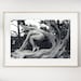 see more listings in the fine art nude landscapes section