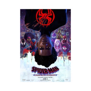 Spider-Man Across the Spider-Verse Movie Poster Quality Glossy Print Photo Wall Art Hailee Steinfeld Size 8x10 11x17 16x20 22x28 24x36 27x40