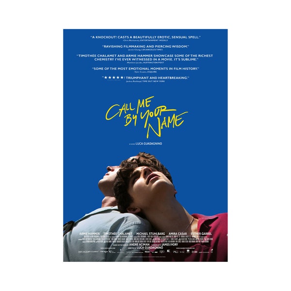 Call Me by Your Name Movie Poster Quality Glossy Print Photo Wall Art Armie Hammer Timothée Chalamet Size 8x10 11x17 16x20 22x28 24x36 27x40