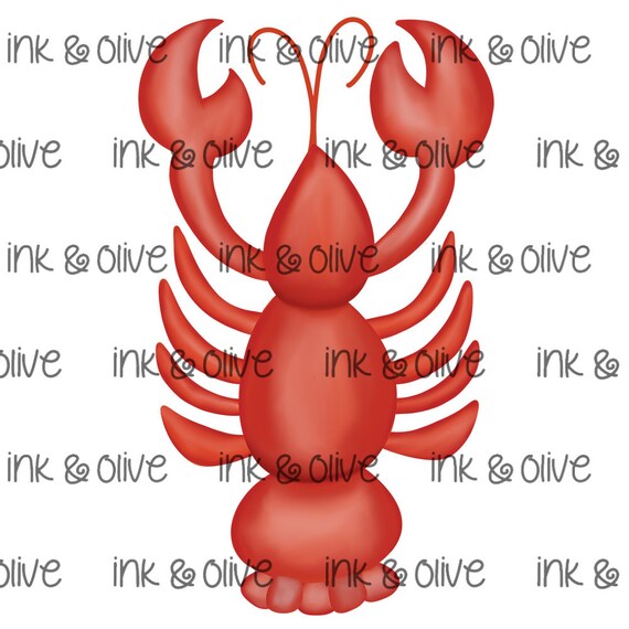 Watercolor PNG Beach Sea Summer Lobster Hand Painted Digital - Etsy