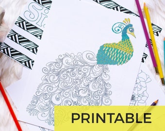 Página para colorear de pavo real / Apoyo emocional Página para colorear de pavo real para adultos para aliviar el estrés / Descarga instantánea / Página para colorear de pavo real para imprimir