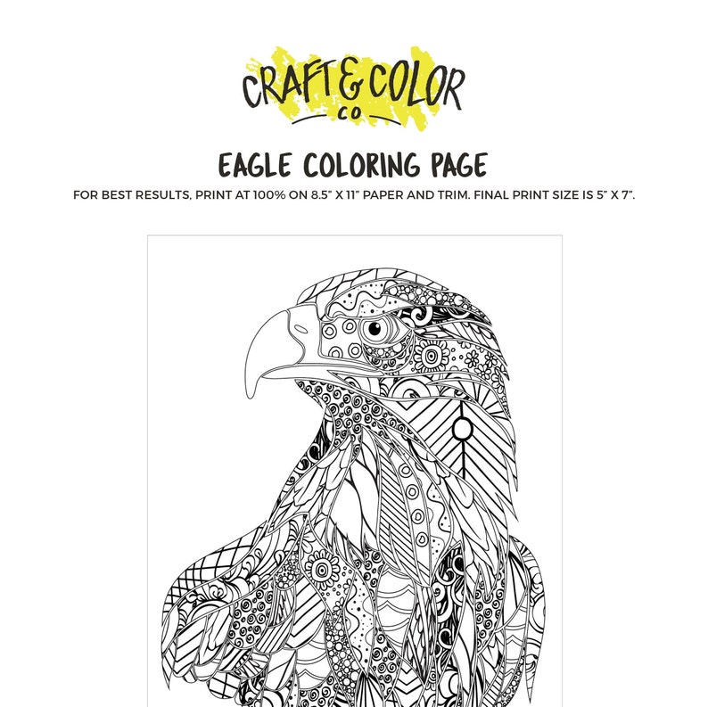 American Eagle Printable Coloring Page Eagle Mascot Wall Art Adult