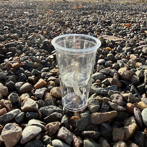 2” Self Watering Pot | Clear Self Watering Planter | Small Plant Pot | Self Wicking Pot | Propagation Station | Mini Planter