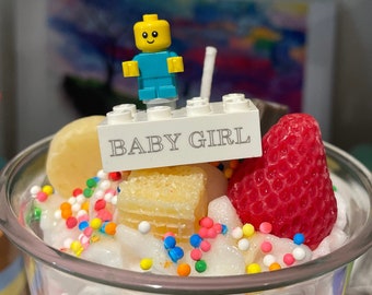 CUSTOM Lego Brick - Customized Lego Brick with Name or Phrase! (One, 4x2 Brick)