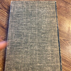 Vintage Laura Lee Hope The Bobbsey Twins And The Horseshoe Riddle Collectible Book