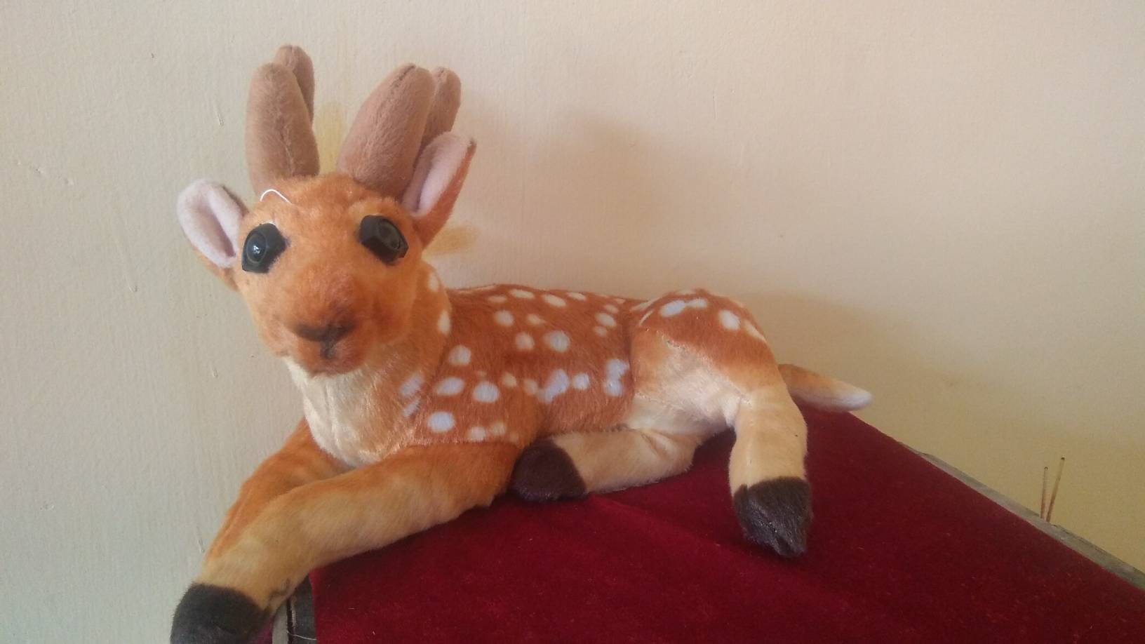 teddy deer