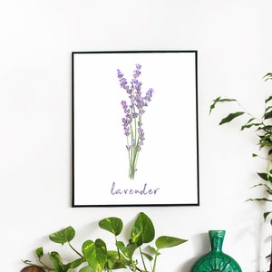 Lavender Herb Kitchen Decor Watercolor Print Food Wall Art Herbal Home Decor Digital Download Kitchen Printable Gift for Her Floral Decor