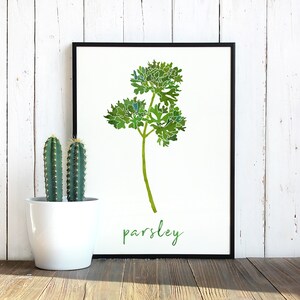 Parsley Herb Kitchen Decor Watercolor Print Food Wall Art Herbal Home Decor Digital Download Kitchen Printable Gift for Her