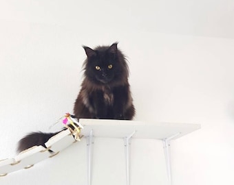 Pont De Chat Etsy