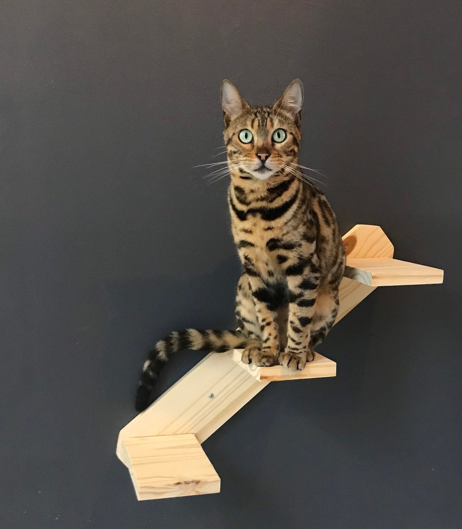 Escalier Mural Pour Chat