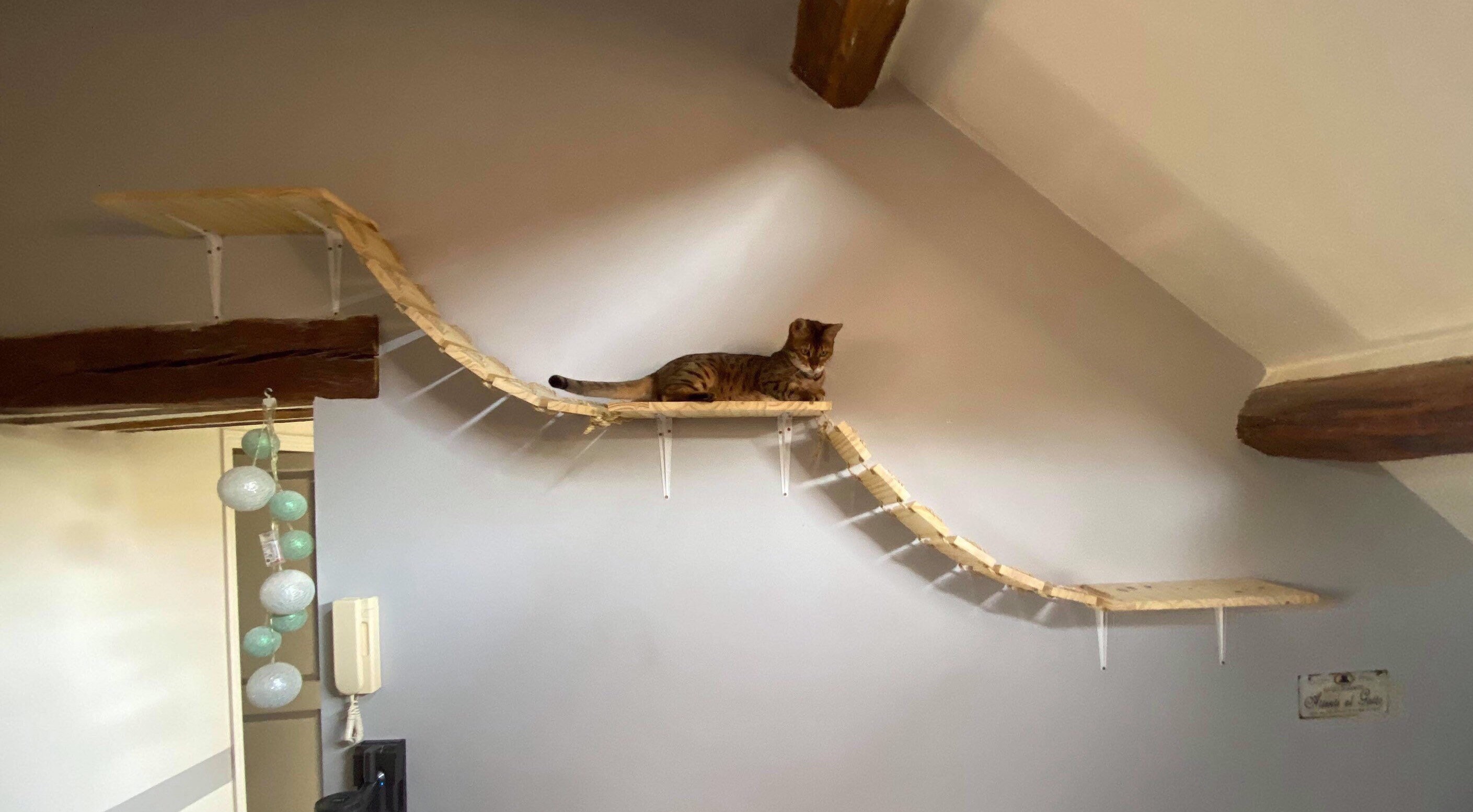 Pont Pour Chat De 3 Metres Etsy