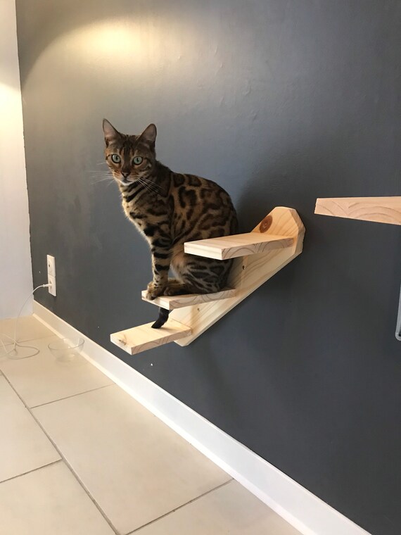 Escalier Mural Pour Chat Etsy France