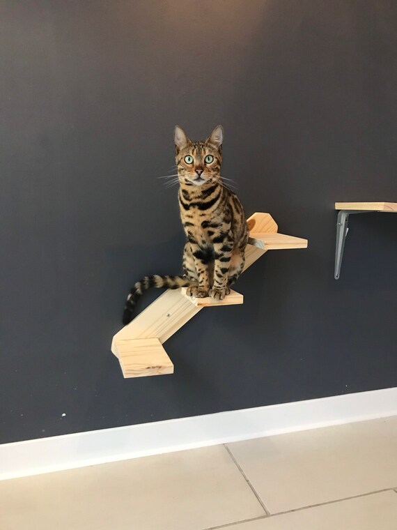 Escalier Mural Pour Chat Etsy