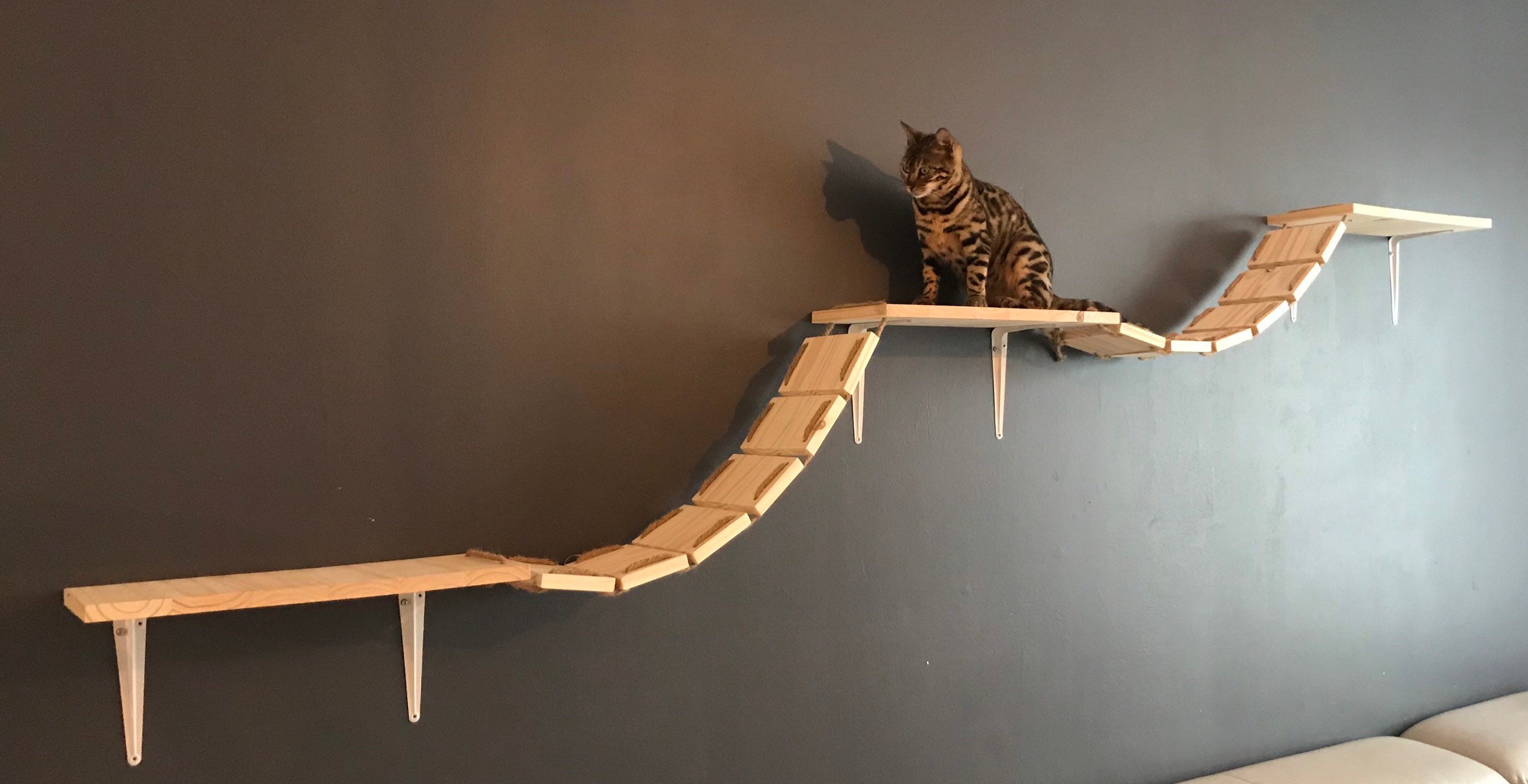 Pont Pour Chat de 3 Mètres