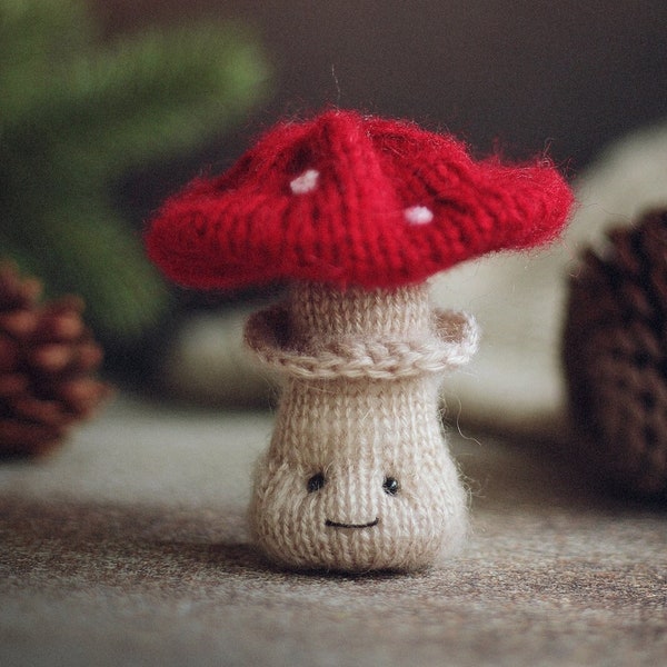 Knitting Cute TOADSTOOL mushroom, knitted, crochet PATTERN pdf, knitted toy