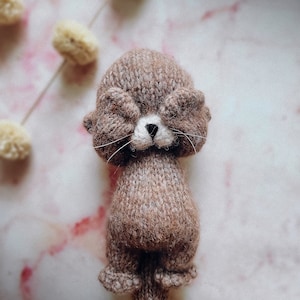 LONTRA lavorata a maglia, giocattolo animale lavorato a maglia, modello PDF, tutorial, lontra di peluche, giocattolo fatto a mano, animale dolce