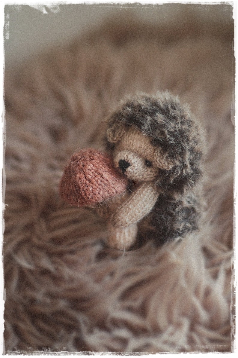 HEDGEHOG, knitting PATTERN pdf. knitted animal toy mushroom pattern 画像 4