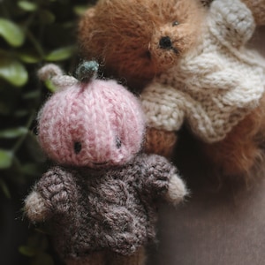 Op de afbeelding: Een bruine gebreide teddybeer met een witte gebreide trui, zittend naast een roze gebreide pompoen met een bruine gebreide trui.