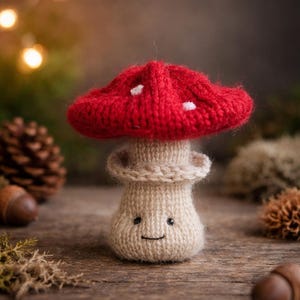 PDF, Knitting TOADSTOOL mushroom, knitted, crochet PATTERN , knitted toy