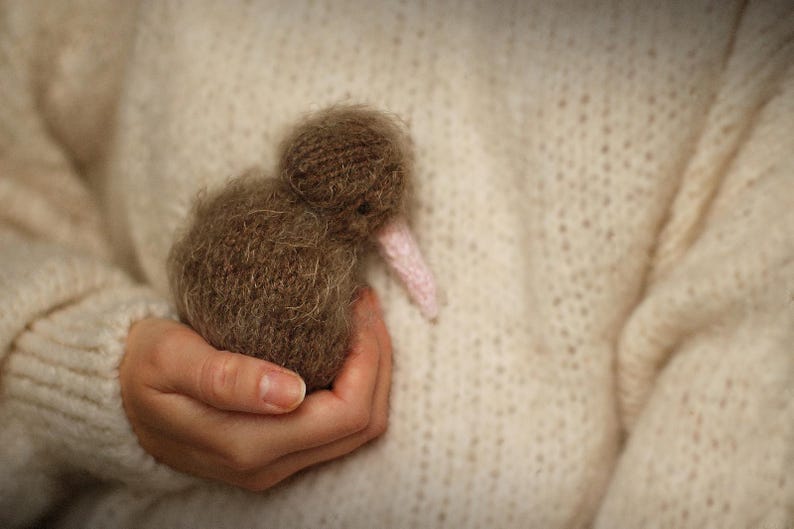 K&ouml;nnte beinhalten: Ein handgefertigtes braunes Kiwi-Vogel-Pl&uuml;schtier mit einem rosa Schnabel wird in einer Hand gehalten. Der Vogel besteht aus einem weichen, strukturierten Material. Der Hintergrund ist ein cremefarbener Pullover.