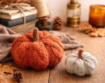 Pompoen breipatroon pdf, gebreid kabelornament, plat gebreide herfstdecoratie, grillige herfstknuffel, gezellig Halloween-huisdecoridee
