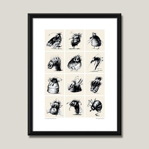 Art print / poster &quot;Insects&quot;