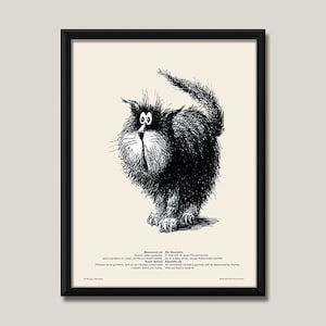 Stampa d'arte/poster "Il gatto domestico"