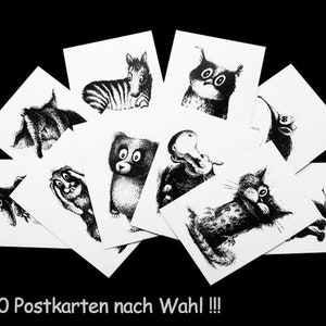 Animais de sua escolha. Conjunto de 10 cartões postais nº 2