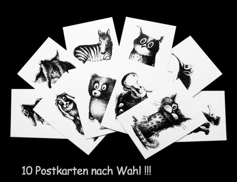 Tiere nach Wahl. 10er Postkarten-Set Nr.2 Bild 1