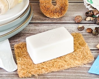 Organic Solid Dish Soap Bar: Lemon & Eucalyptus, Zero Waste