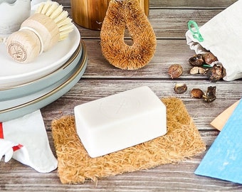 Organic Solid Dish Soap Bar: Lemon & Eucalyptus, Zero Waste