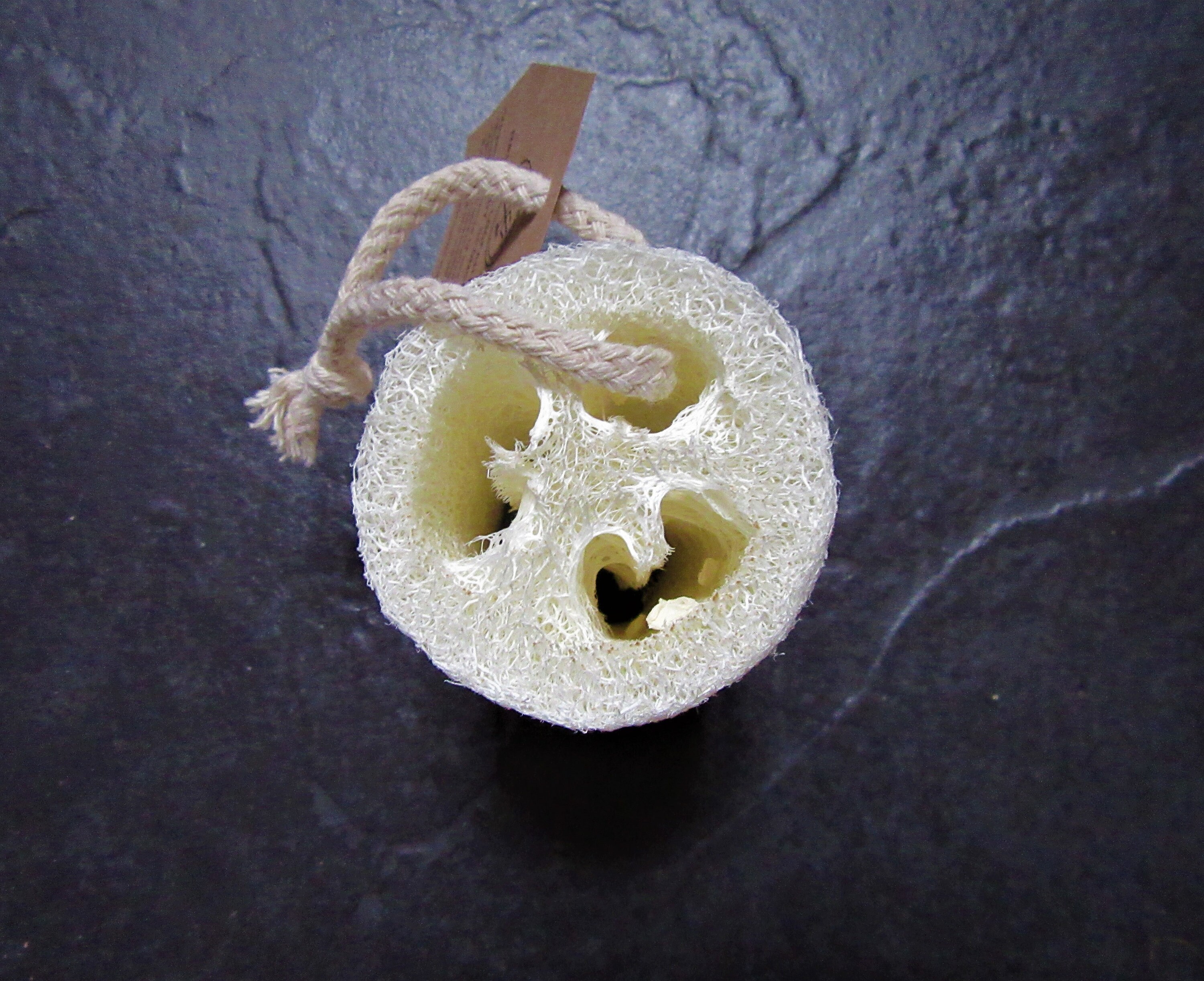 Natural Loofah Luffa Zero Waste Plastic Free Loofah Sponge Etsy UK