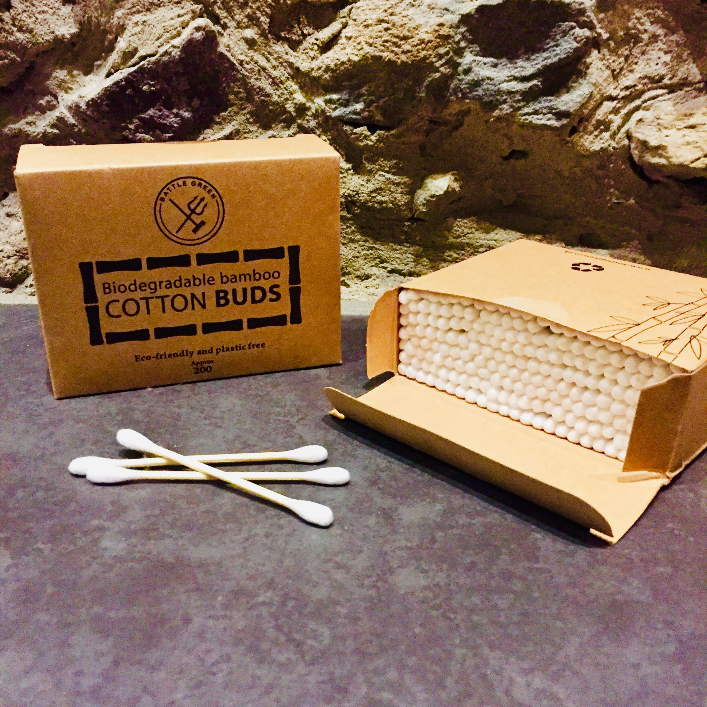 1000 cotons en bois biod/égradables durables sans plastique Eco Connection