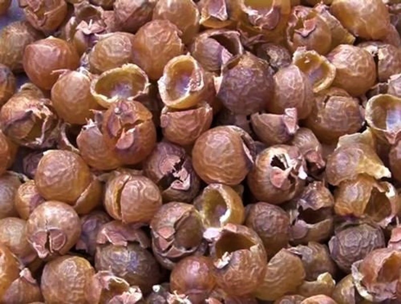 Organic Soap Nuts Berries Natural Laundry Detergent For Eco Friendly Washing Up image 5