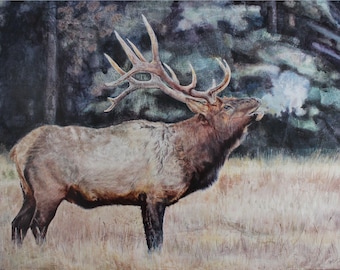 The Elk