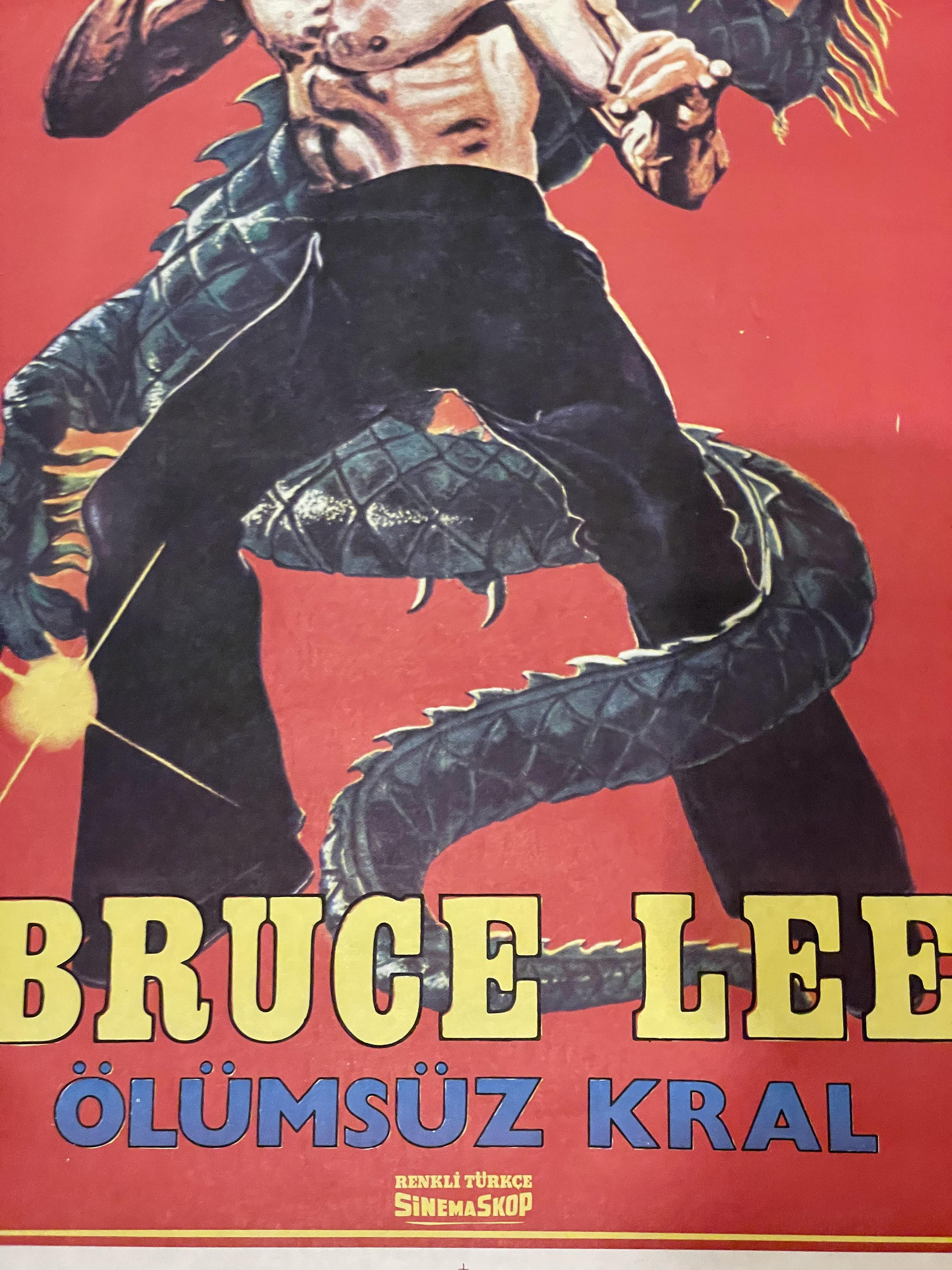 BRUCE LEE SUPERSTAR 1976 visual data 4