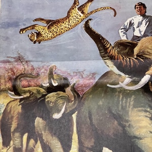 Póster de película original de una hoja de 1971. Película india. Póster de película turca raro y único. Cine mundial.